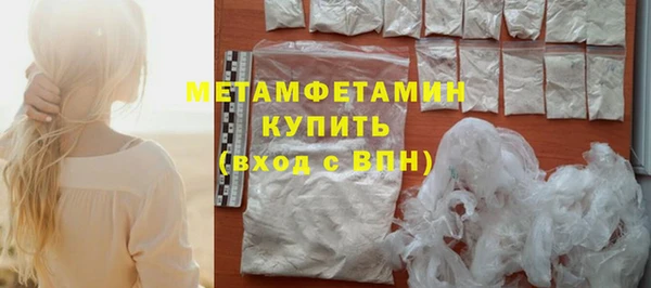 прущие грибы Балабаново