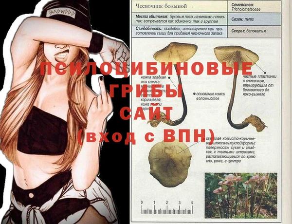 Альфа ПВП Белокуриха