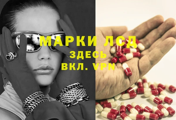 прущие грибы Балабаново