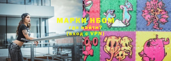 Альфа ПВП Белокуриха