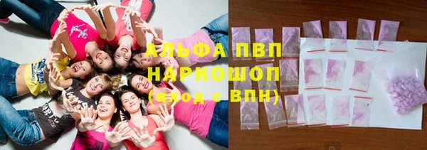 прущие грибы Балабаново